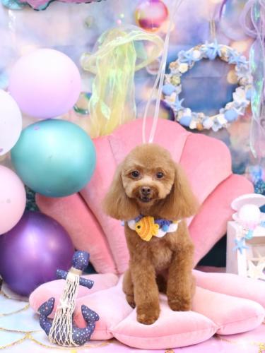 20240810このはちゃん